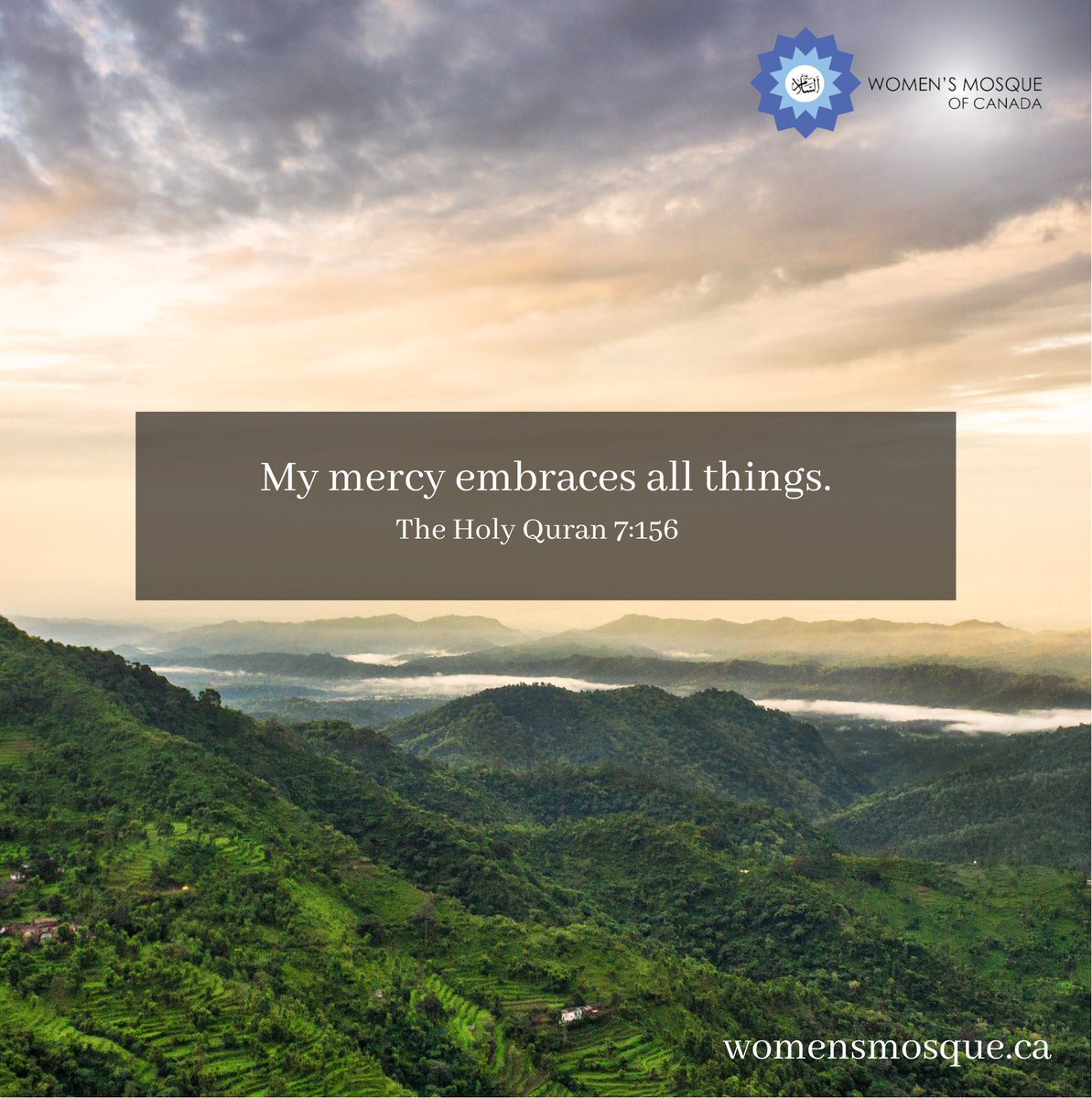 My mercy embraces all things.

The Holy Quran 7:156

#nature #spirituality #religion #quran #quranquotes #quranquote #quranquotesdaily #quranverses #quranverse #quranverseoftheday