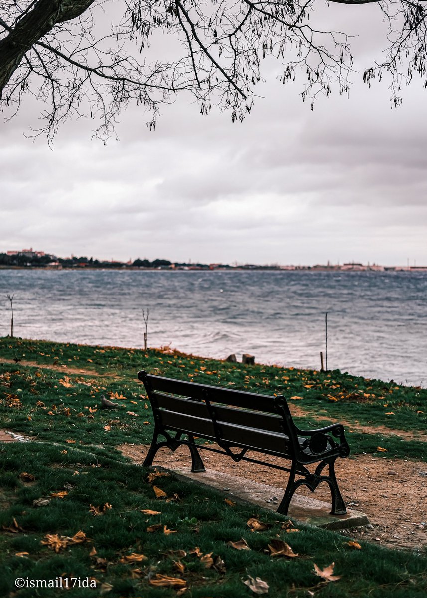 #Sonbahar’da bir bank ve manzarası..
 🍃💛🍁🍂

📍Kepez, Çanakkale 

#fujifilm_xseries #lightroompresets  #landscapephotography #trtbelgesel2023 #autumnvibes🍁 #manzara #Canakkale #fujifilmglobal  #fujifilmxs10 #bank #Kepez 
#sonbahar #GoTurkiye #huzursokağı #fujifilmphotography