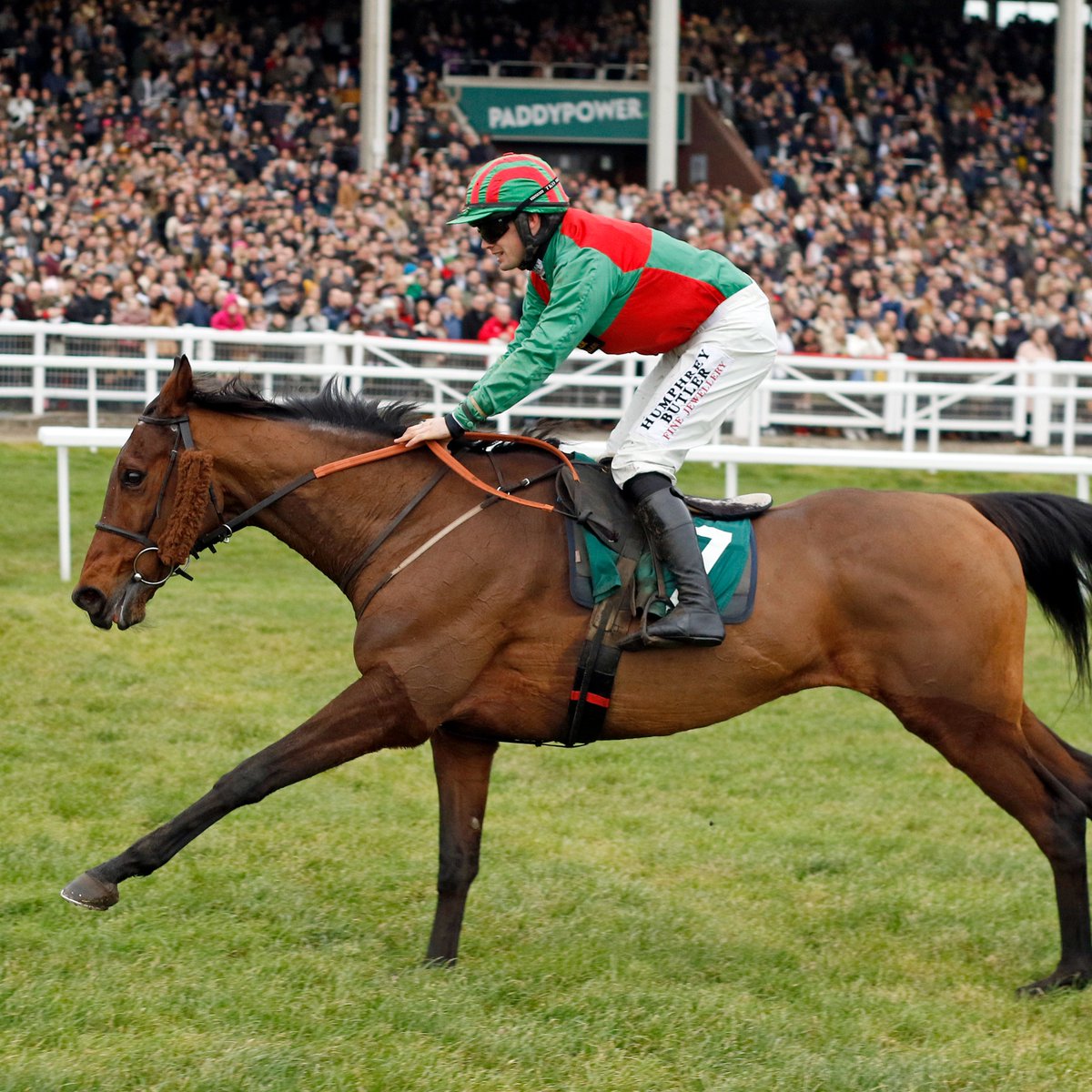 CheltenhamRaces's tweet photo. Name the best RAPPER 👇 https://t.co/FQ92ek7QU8