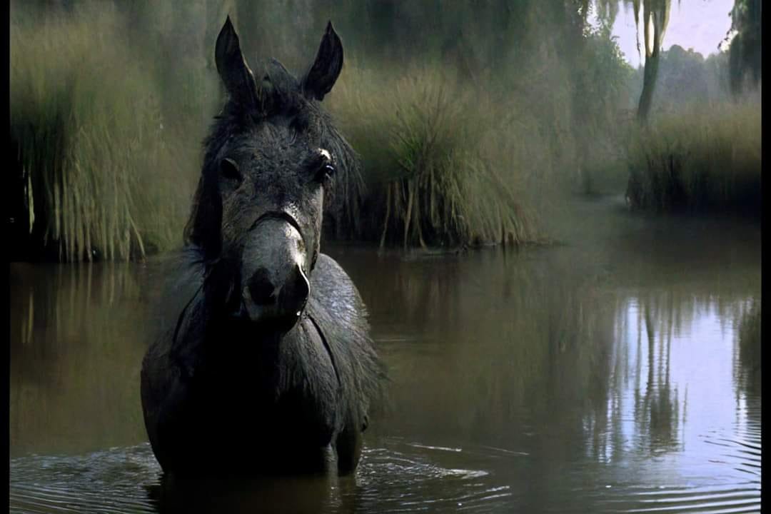 PinguimDanarin2's tweet image. Shrek como Dark Fantasy dos anos 80.