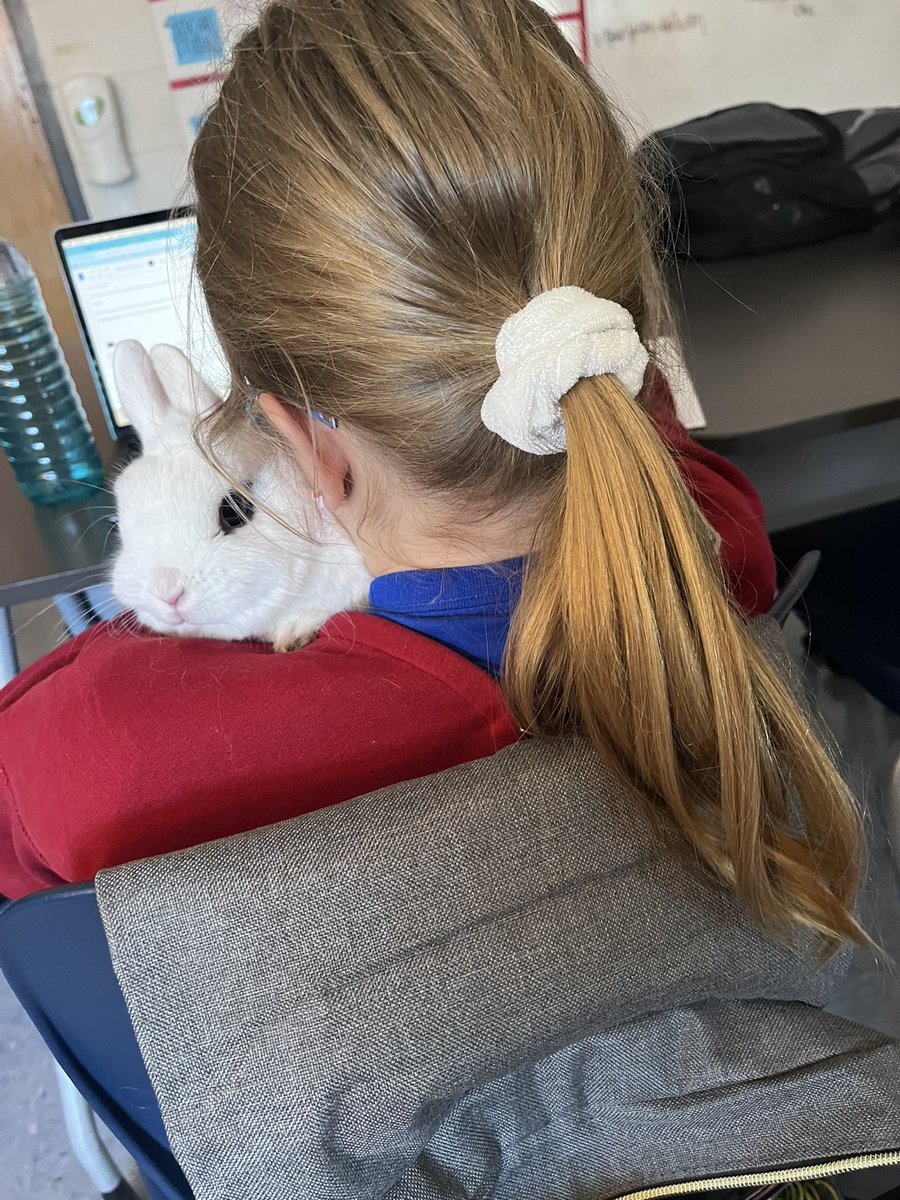 How we read in room 212.