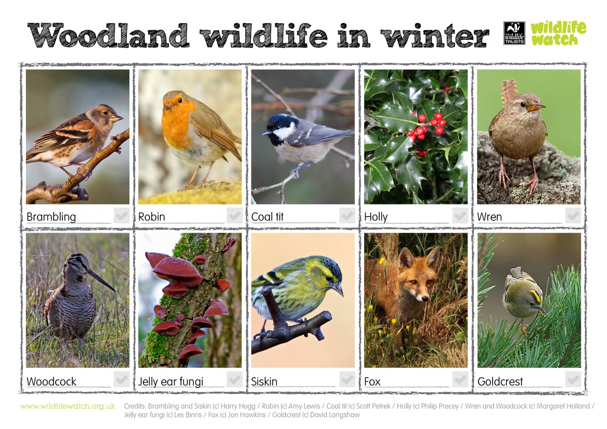 The Wildlife Trusts tweet media