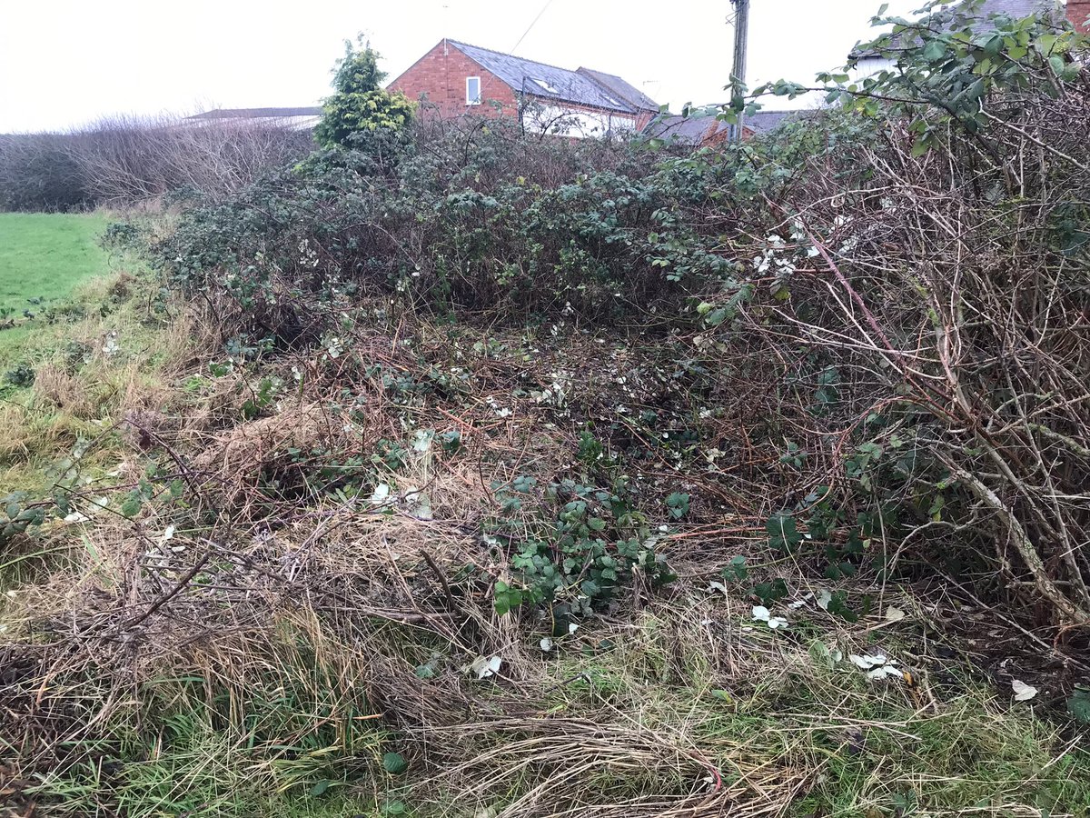 Mickleover CC 🏏 tweet media