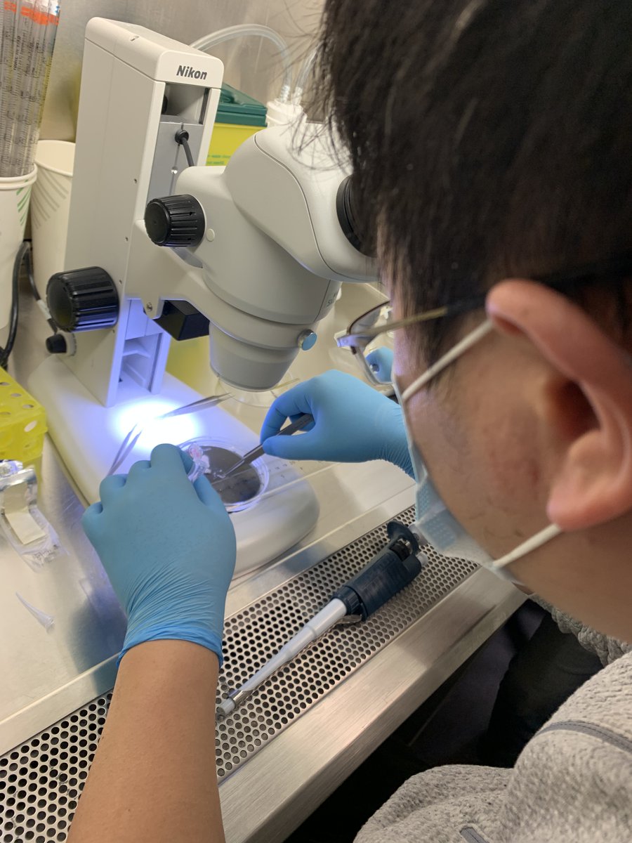 Xi Huang tweet media