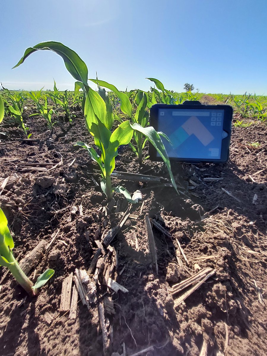 Francisco Olivetto (@f_olivetto) on Twitter photo Recorriendo Lotes de Maiz para ver las novedades del 2023. #LideresEnRelacionamiento
<a href="/FieldViewArg/">FieldView Argentina</a> <a href="/LaTijeretaMaiz/">La Tijereta Maíz</a> <a href="/LuisIMateos/">𝘓𝘶𝘪𝘴 𝘐𝘨𝘯𝘢𝘤𝘪𝘰 𝘔𝘢𝘵𝘦𝘰𝘴</a> Recorriendo Lotes de Maiz para ver las novedades del 2023. #LideresEnRelacionamiento
<a href="/FieldViewArg/">FieldView Argentina</a> <a href="/LaTijeretaMaiz/">La Tijereta Maíz</a> <a href="/LuisIMateos/">𝘓𝘶𝘪𝘴 𝘐𝘨𝘯𝘢𝘤𝘪𝘰 𝘔𝘢𝘵𝘦𝘰𝘴</a>