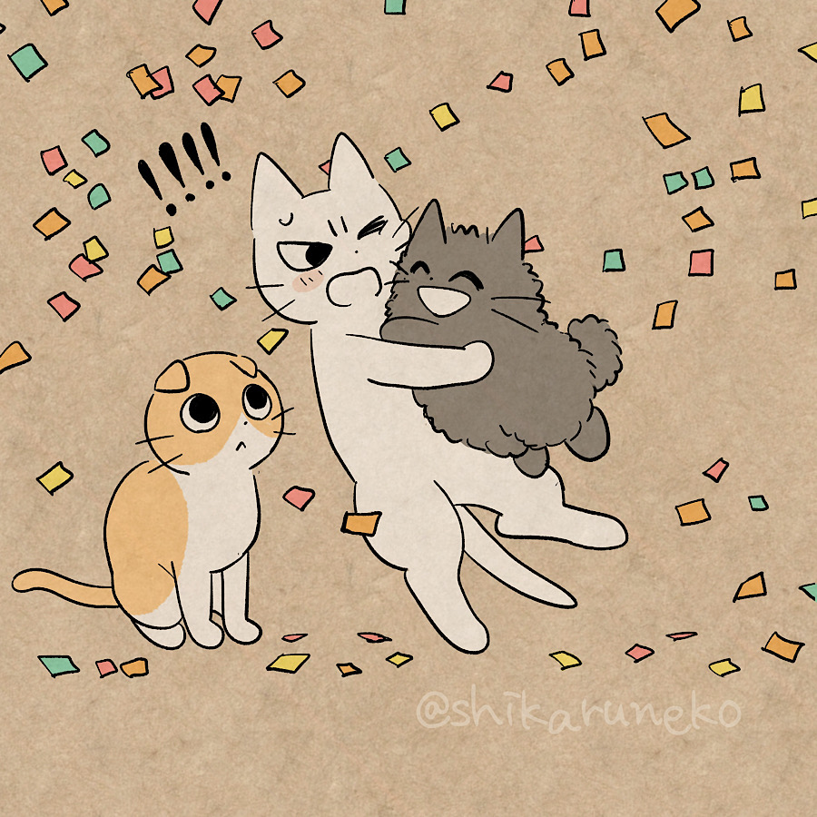 本日1月5日は「しかるねこ」の誕生日🎉おかげさまで5周年を迎えました!いつもありがとうだよ🐾 