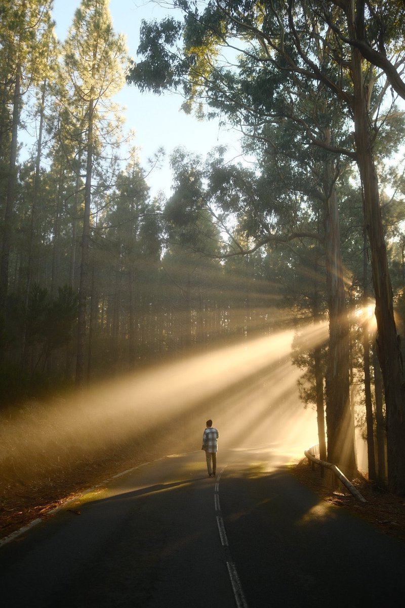 susogarc's tweet image. La isla de Tenerife en cuatro fotos.