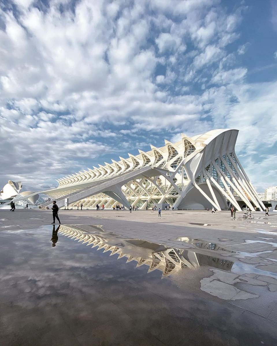 parametricarch's tweet photo. Calatrava's (@S_Calatrava) inspiring work 'The City of Arts and Sciences' was opened in 2005 and located in Valencia. This cultural and architectural complex has been listed in '12 Treasures of Spain'.

📸@veronang

#parametricarchitecture #parametric #valencia #spain https://t.co/SnHuYcvIAE