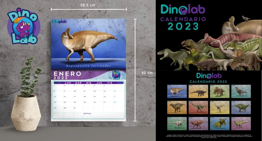 ad_miranda's tweet photo. Todavía tenemos calendarios 2023 con la doce especies de Dinosaurios descritas a partir de material descubierto en México🇲🇽.  ¿Ya tienen el suyo? Los reyes magos 👑 nos pueden contactar por mensaje con entrega sin costo en CDMX y en toda la República por $100 extra. https://t.co/h8gGNn4E4o