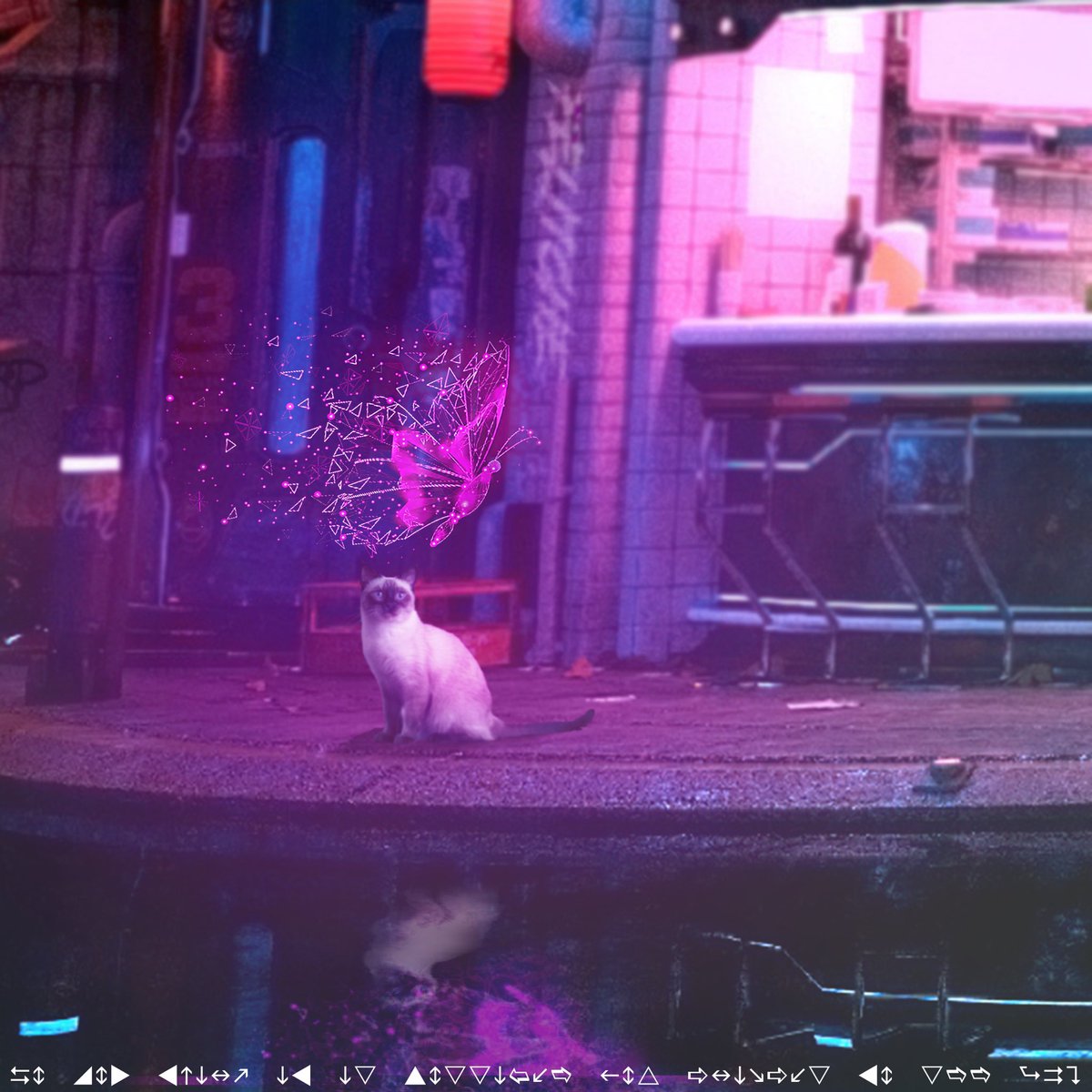 Felitche13's tweet image. Can animals see AI? #DigitalArtist