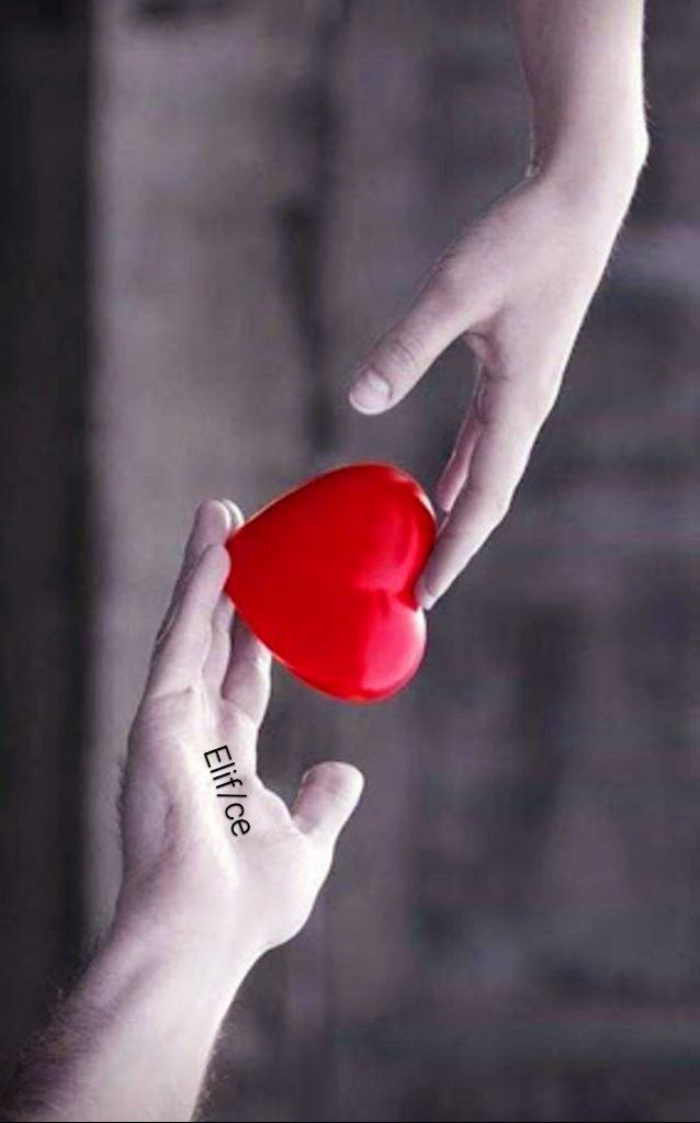 #GeceyeNotum

Sevmenin bir diğer adı da incitmemektir.
Sevdiğiniz size ait değil, 

_________ size 
   
                 e m a n e t t i r . . .

. . . 

#Geceye
#Aşkile