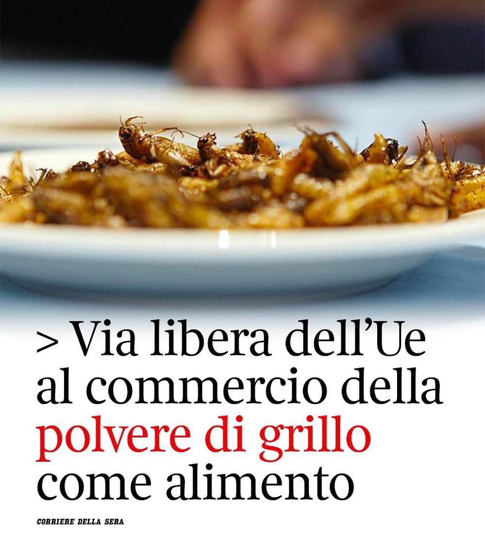 Matteo Salvini tweet media