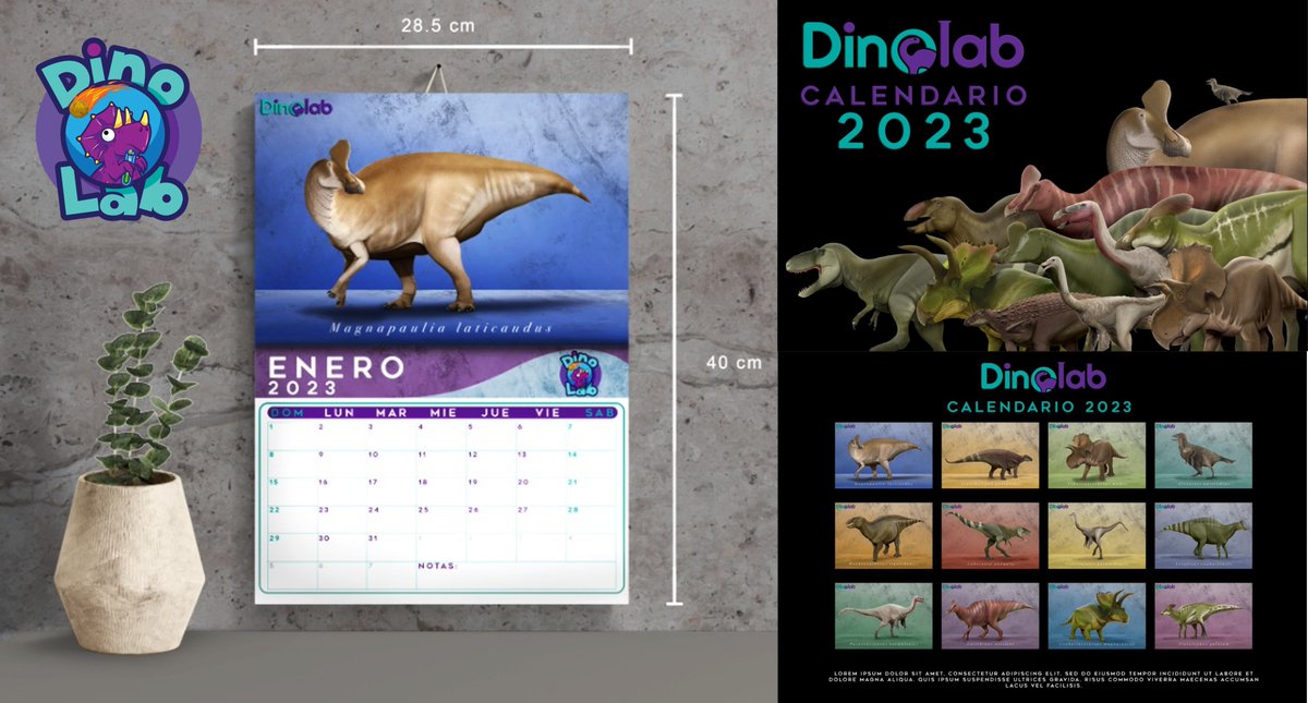 DinoLabMX's tweet photo. Todavía tenemos calendarios con las 12 especies de Dinosaurios 🦖 descritos a partir de material descubierto en México🇲🇽.  ¿Ya tienen el suyo? Aprovechen, tenemos entregas a toda la República Mexicana con un costo extra de $100 pesos.🎯 https://t.co/HdL1Tio6Rr