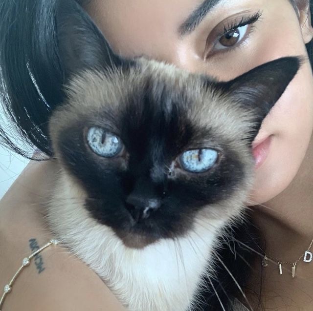 ccaustimo's tweet image. cuál (abajo otro