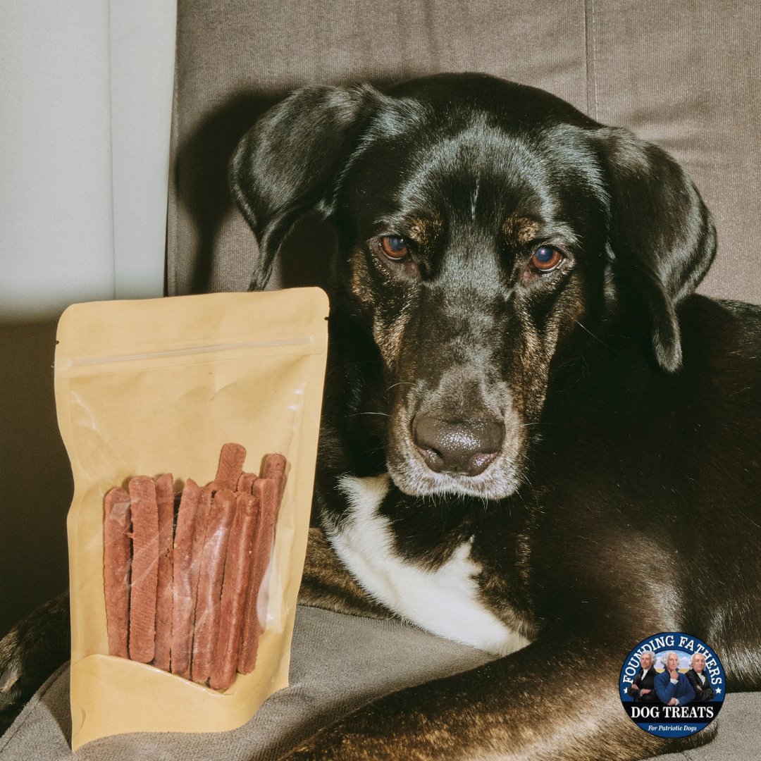 FF_Pets's tweet photo. My New Years Resolution: Eat Less Treats 

My Dog's New Years Resolution: Eat More Treats https://t.co/SuGwIcAp7C