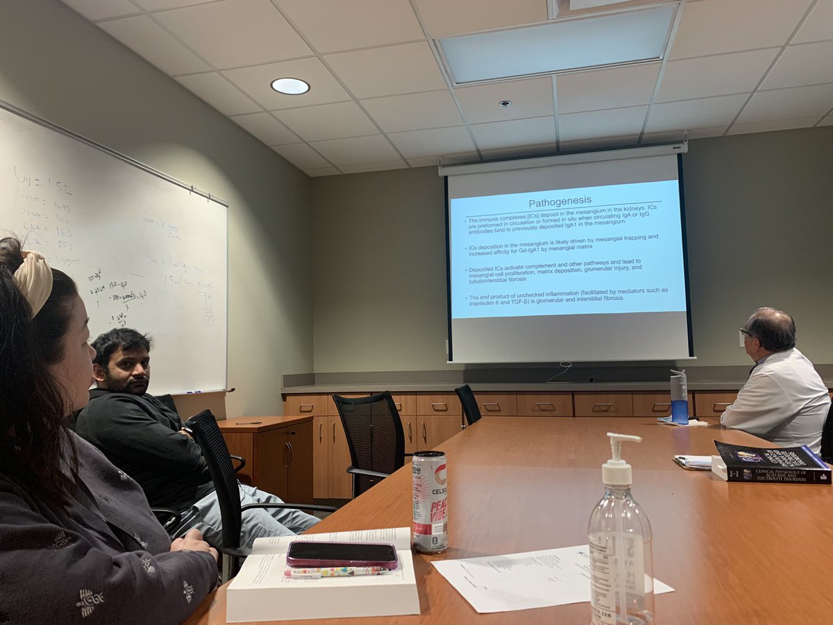 Nephrons at work. Renal physiology “ Burton Rose” followed by GN -IgA talk.
