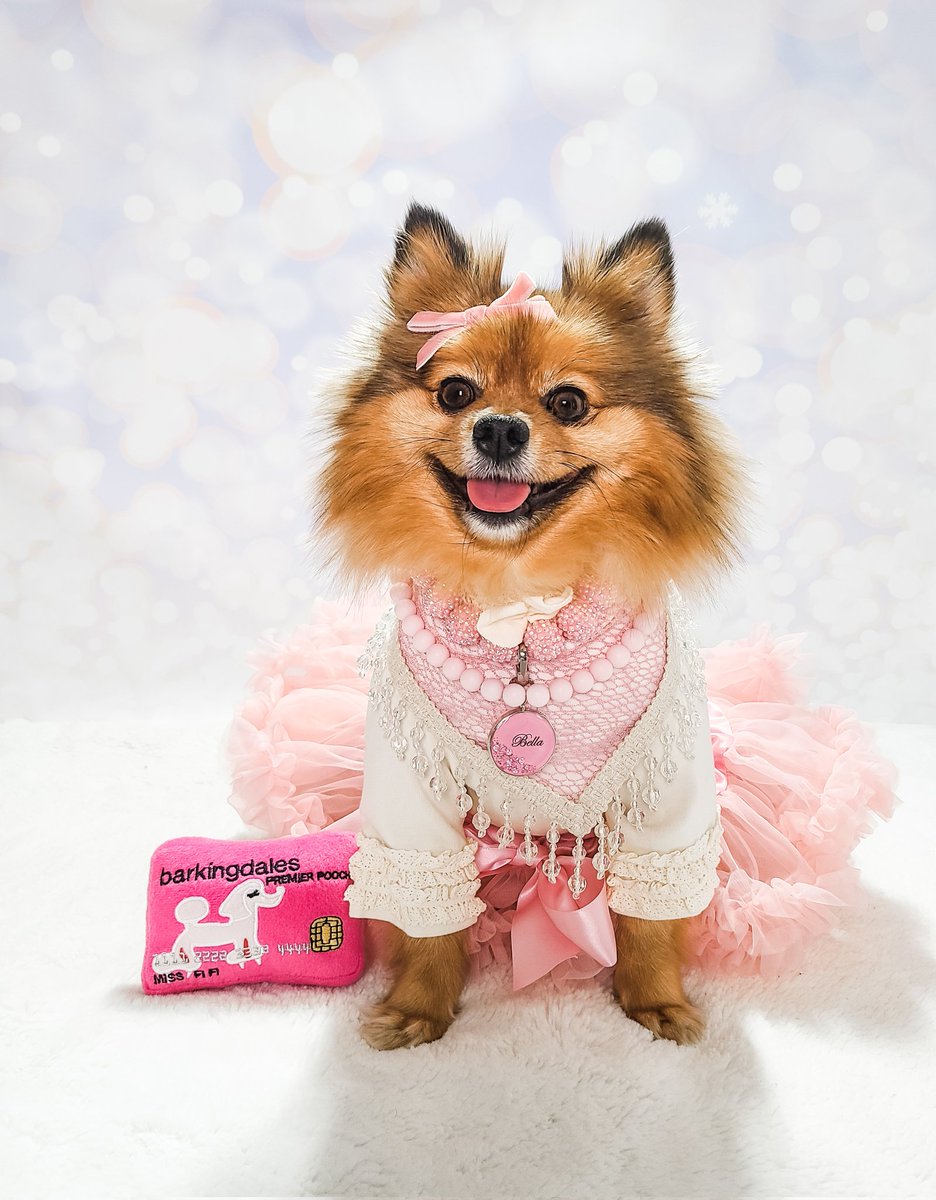 Pink makes me happy when I’m blue. I just learned this isn't a real credit card! How am I going to eat chimken and go shopping? 🛍 Mommy said she's gotta pay the bills.
I needed a pink-me-up.
#HappyNewYear #twitterdogcommunity #pomeranian #dogsoftwitter