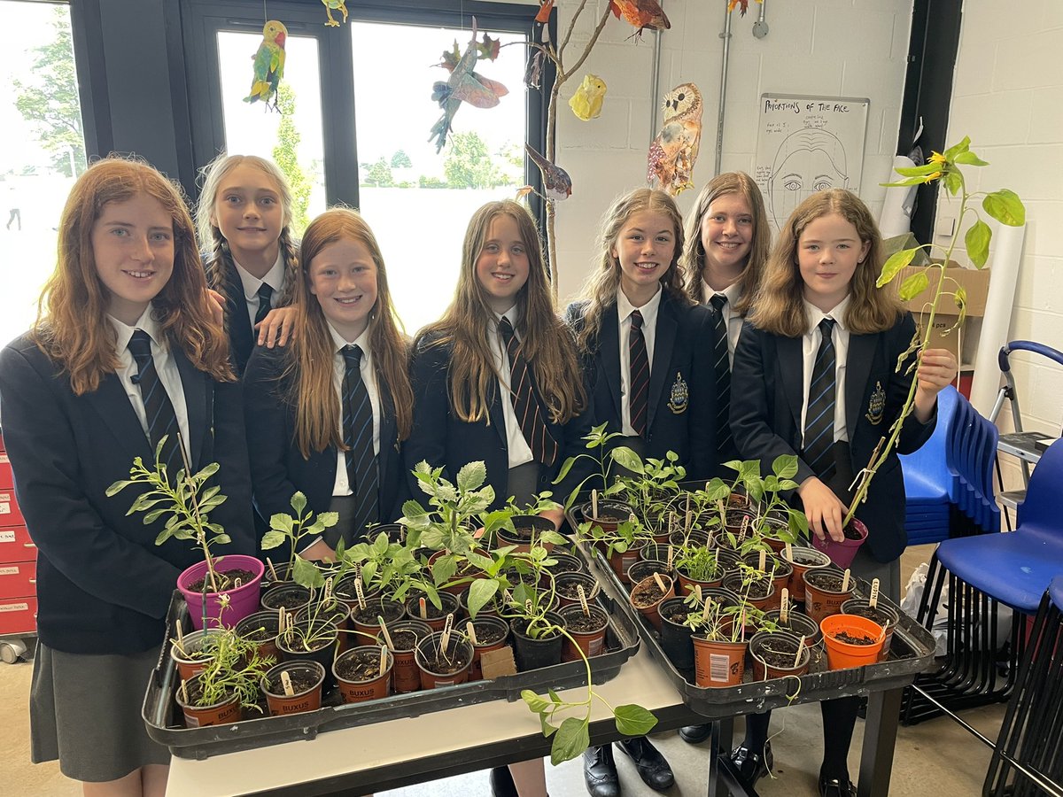 HeadPockSchool's tweet image. Super day today @PockSchool - thanks to colleagues for their commitment and support! Looking forward to seeing pupils back tomorrow! #startofterm