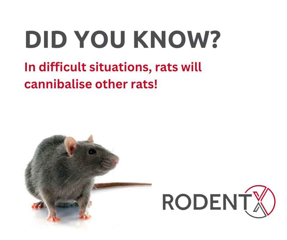 Did you know?