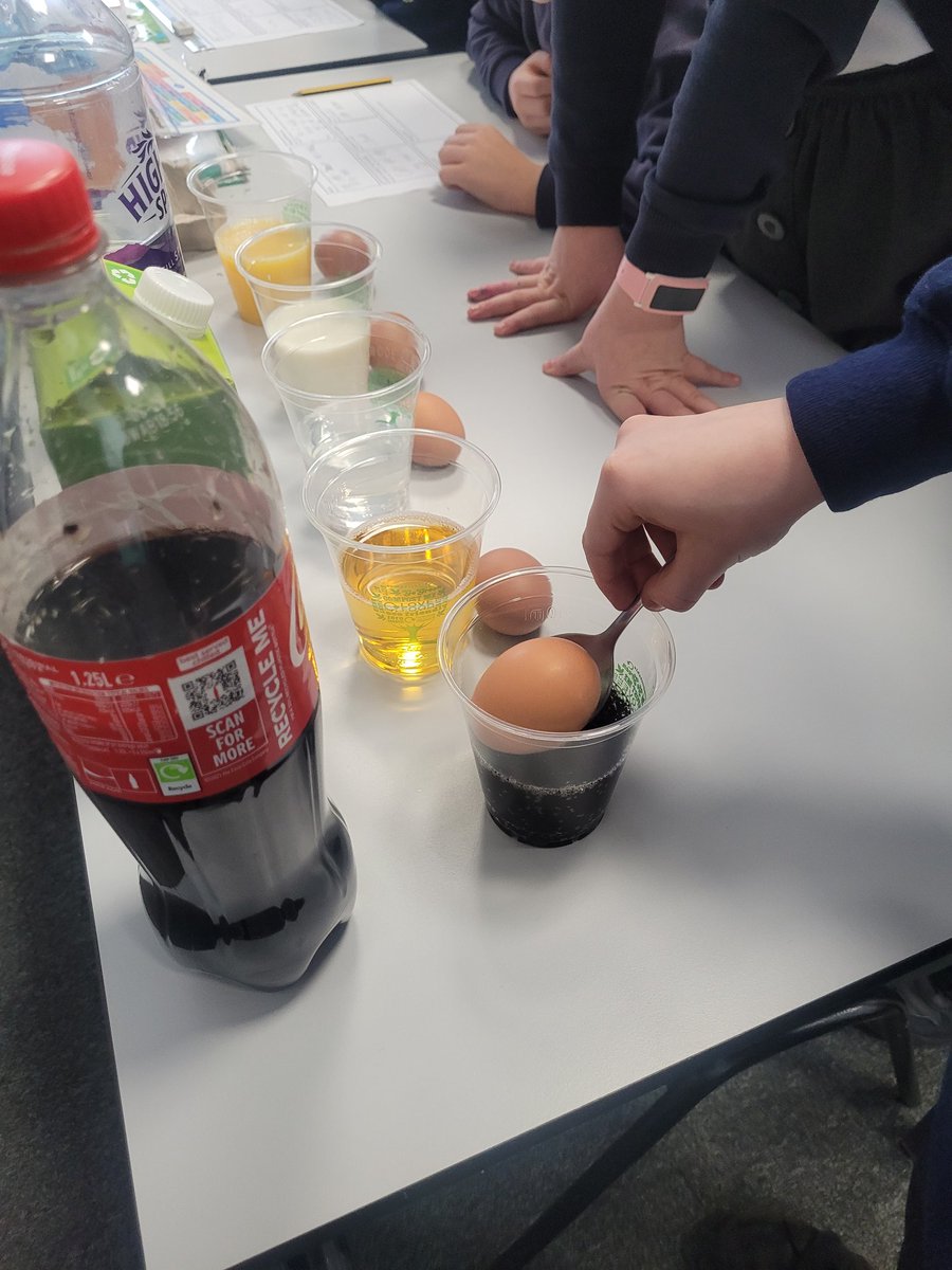 In year 4 we have started the year eager to learn! We are studying how different liquids affect an egg's surface in order to understand tooth decay in more depth. #hartsholmeacademy #education #science <a href="/HarbourLearning/">Harbour Learning Trust</a> <a href="/hartsholmeacad/">Hartsholme Academy</a>