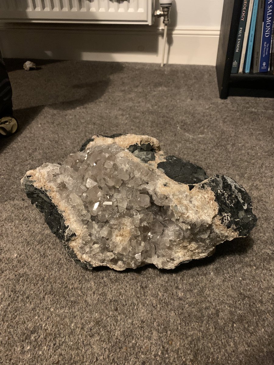 🕷scienTEAfic🕷 tweet media