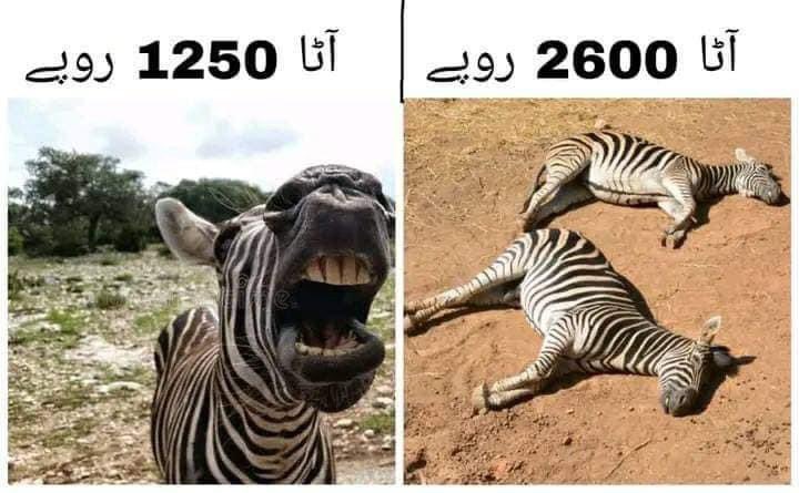 Rip #JUIF #ImranKhan #عمران_بمقابلہ_کرپٹ_مافیاز