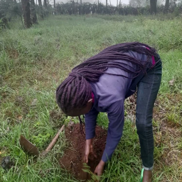 yfga_kenya's tweet photo. Join us in planting the seeds of a greener future! Volunteers from 
@yfga_kenya joining the commitment to #SaveOurLand and #environment for future generations. We have roled out measures to ensure our members are taking action across the country, to contribute towards the https://t.co/TlnNx7HAtR