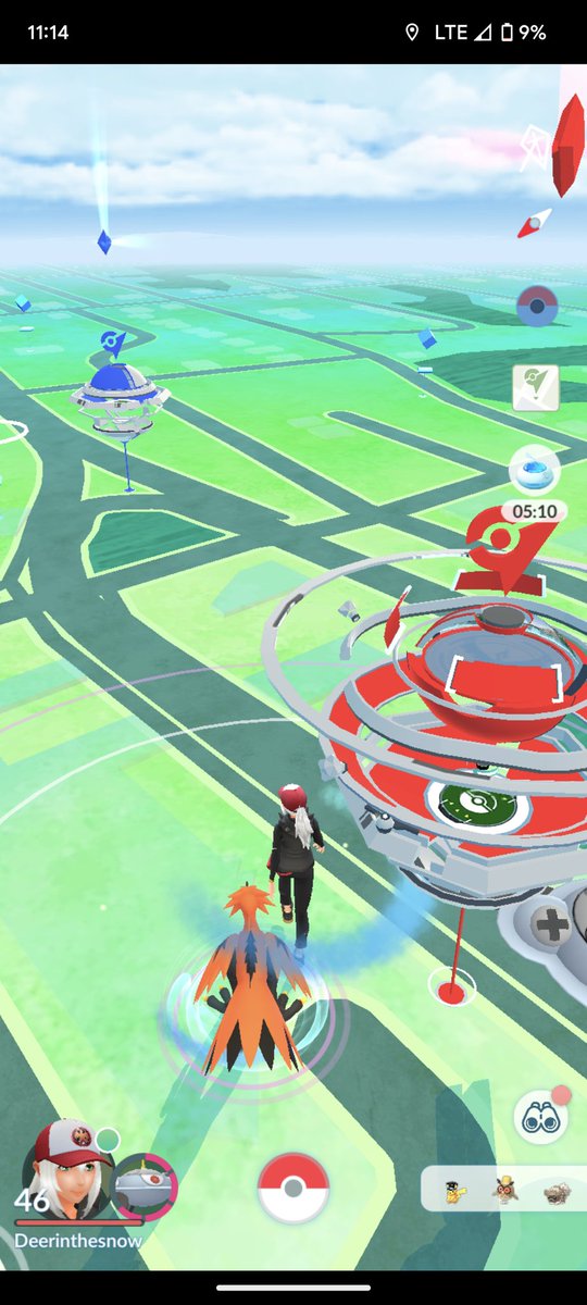 DeerintheS's tweet photo. It RAN! ๐ญ I'm dead. First galar Zapdos encounter too #why #immacry https://t.co/qSxRT9Lj6a