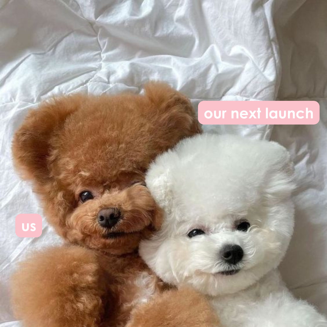 👀Something is coming....