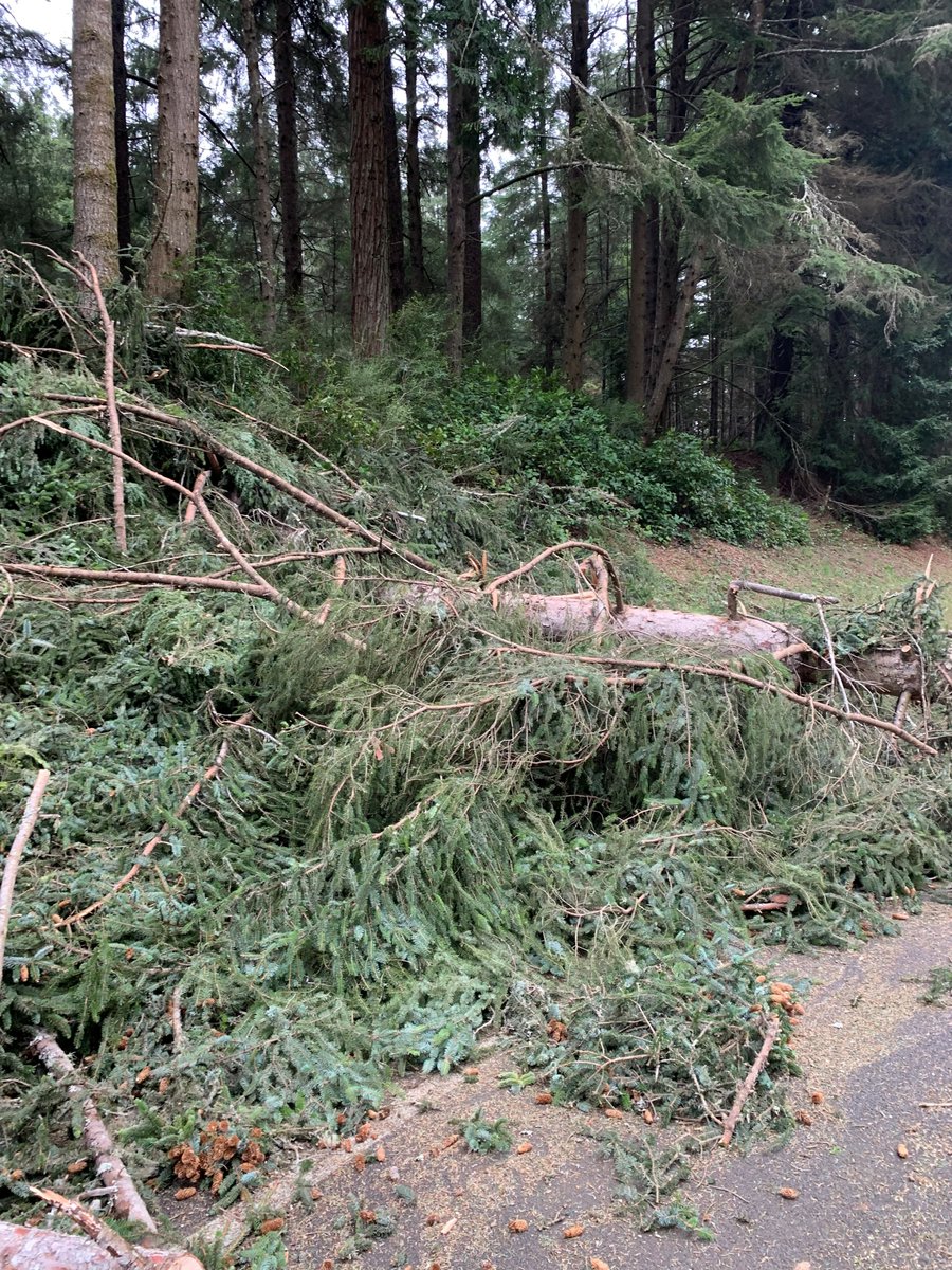 CaltransDist1's tweet photo. https://t.co/gvrQ9aCcJW