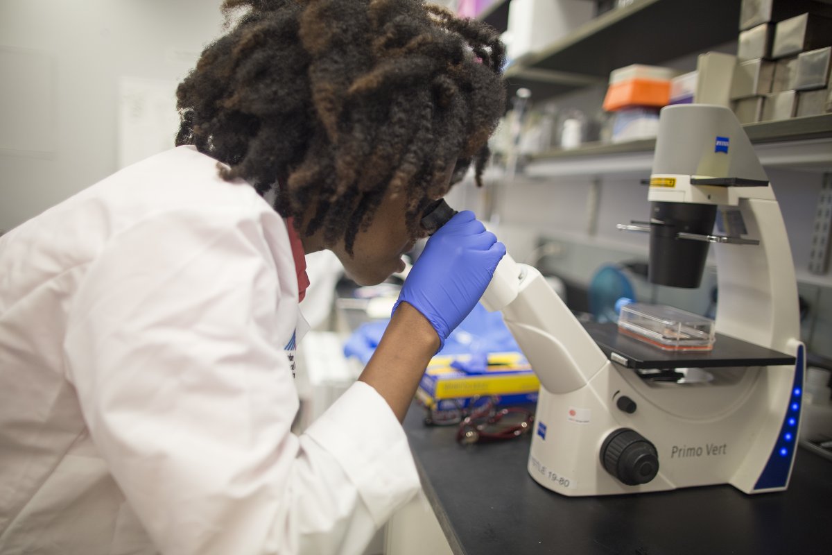 Become a PREP scholar. PREP is a 1-2 year Post-baccalaureate Research Education Program that helps you gain valuable research lab experience while exploring your personal and professional interests. Attend our Info Session Tuesday January 10th at 3pm EST: mshs.co/3G9idFz