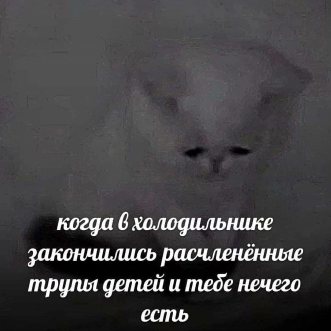 даша философствует ✨ tweet media