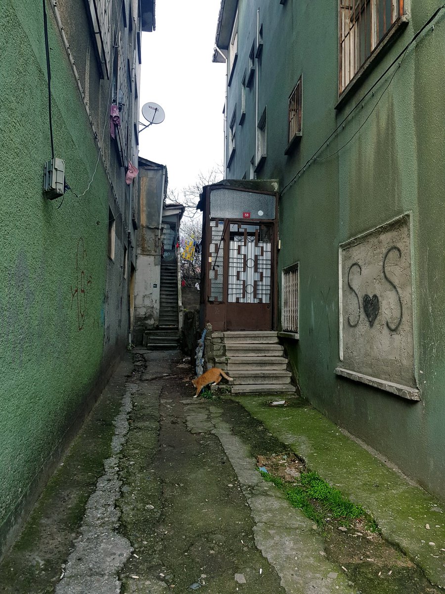 _Nekre_'s tweet photo. @Artsucs https://t.co/a7xE6i4dMf