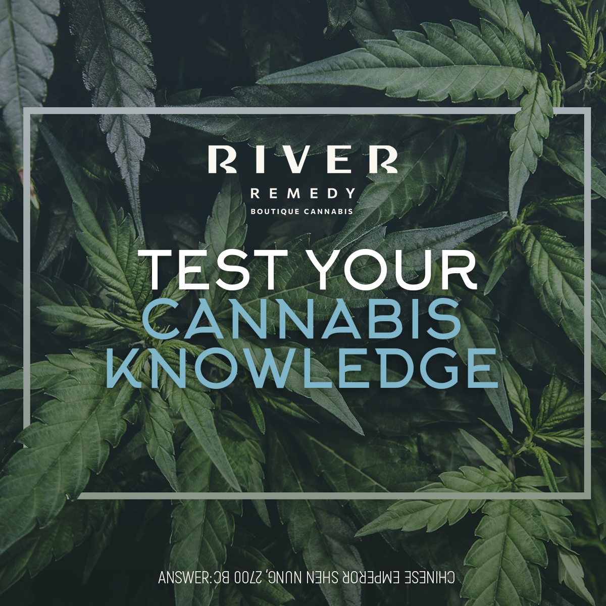 HAPPY WORLD TRIVIA DAY! Today we celebrate the amazing benefits of marijuana and its ability to heal the body and mind!  Test your MMJ trivia knowledge. Who was the first person attributed to using marijuana for medical purposes? #medicalmarijuana #worldtriviaday