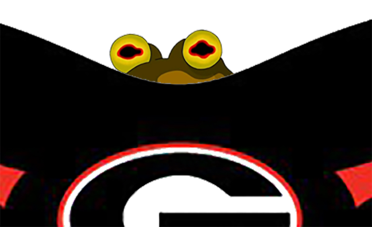 Just noticed something when you zoom in on the Georgia logo
