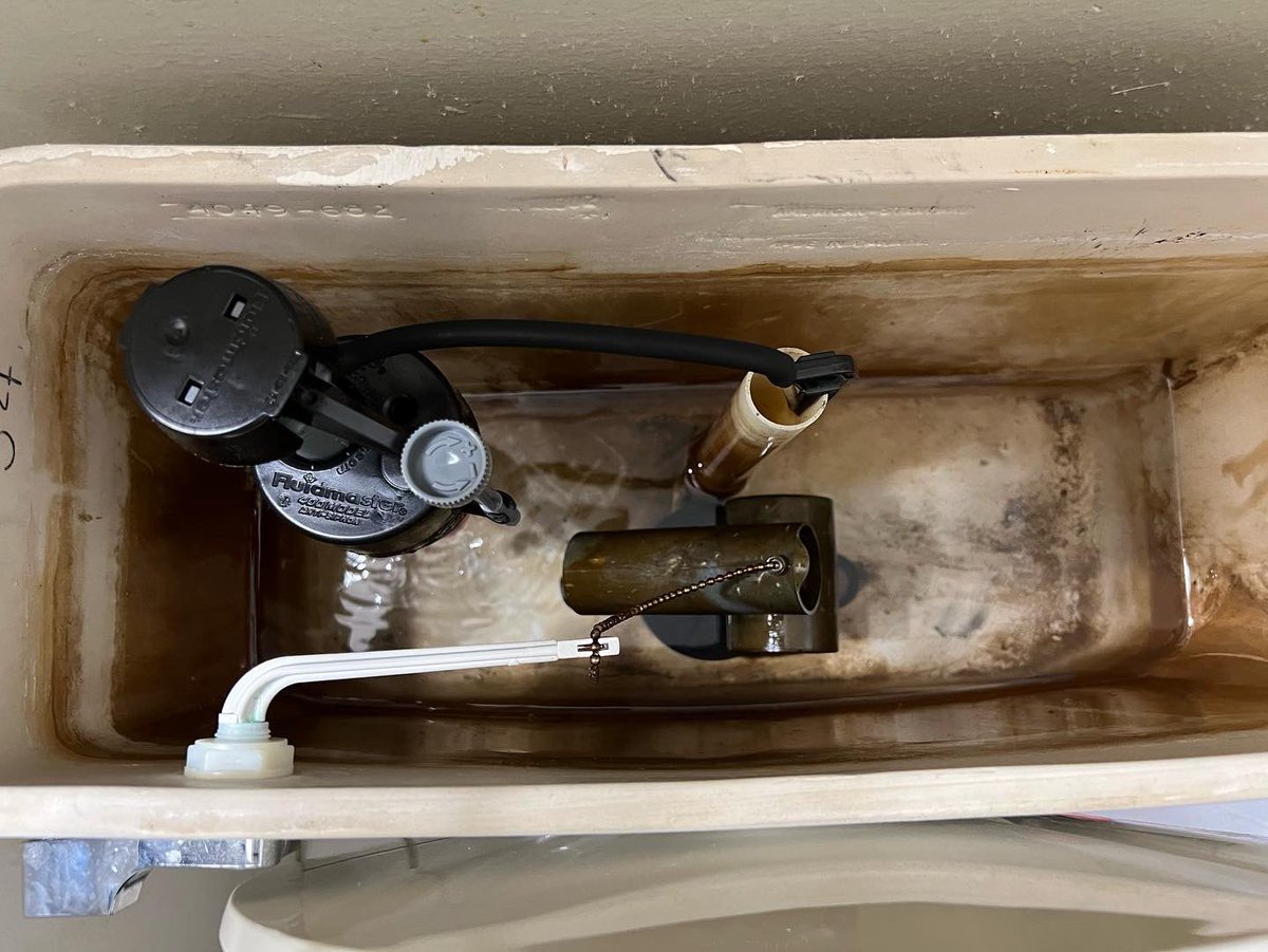 AlCharlemagne's tweet image. $25 and 30 minutes later (literally did this during my lunch break), I replaced my fill valve in my toilet. Those who know me know I’m NOT handy…at all, so this is a huge accomplishment for me. 💪🏿😎 #FixedMyToilet #Fluidmaster
