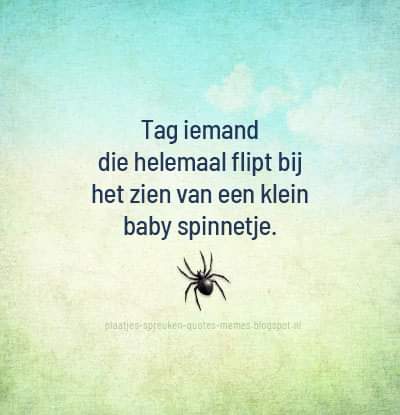 dbrplaatjes's tweet photo. Check hier onze andere plaatjes! --> https://t.co/UHKvSSk3XA
#spreuk #quote #meme #humor #grappige #bang #angst #spin #spinnen #tag #flippen #insect #dier #web https://t.co/BixBCa5rY4