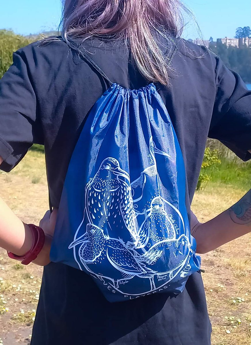 Carolonline's tweet photo. ¡Amig@s! Tengo este diseño original de aves playeras con su respectivo nombre común, todo lo vendido es para apoyar el trabajo de voluntarios en el rescate de crías #Lobosmarinos en #Cobquecura Falta comprar canil así el transporte de crías sera seguro cuando varan #Codeff DM https://t.co/epikr9ad9z