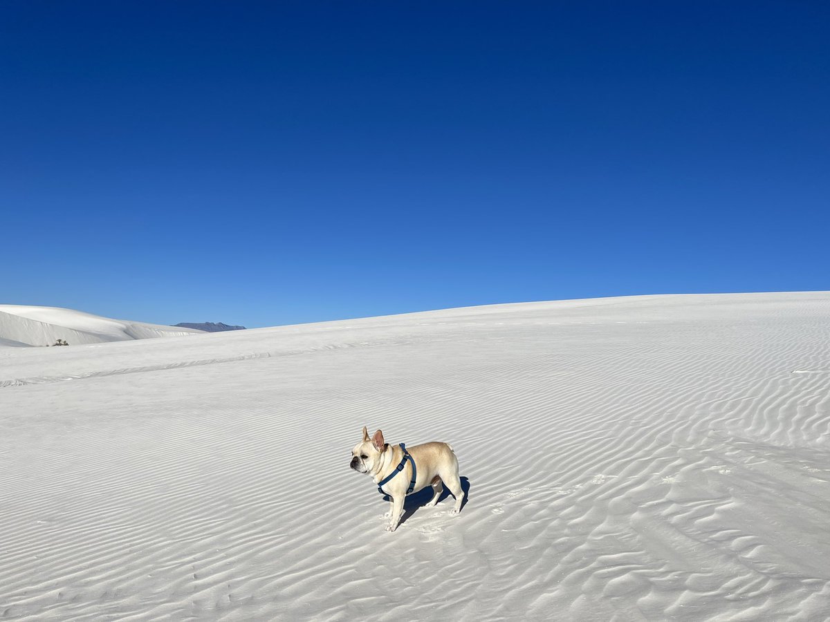 Manny (@mannywedges) on Twitter photo 