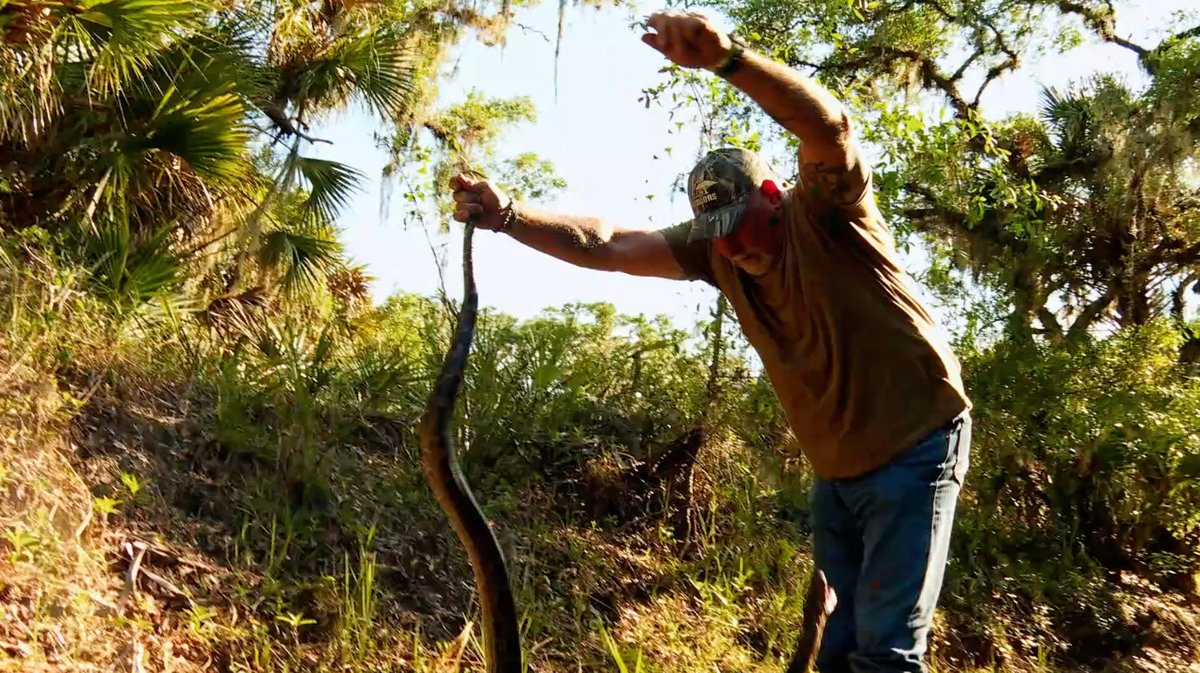 SwampPeople's tweet photo. It's a Dance with the Devil 🐍 #SwampPeople #SerpentInvasion https://t.co/lufUi7NWtZ
