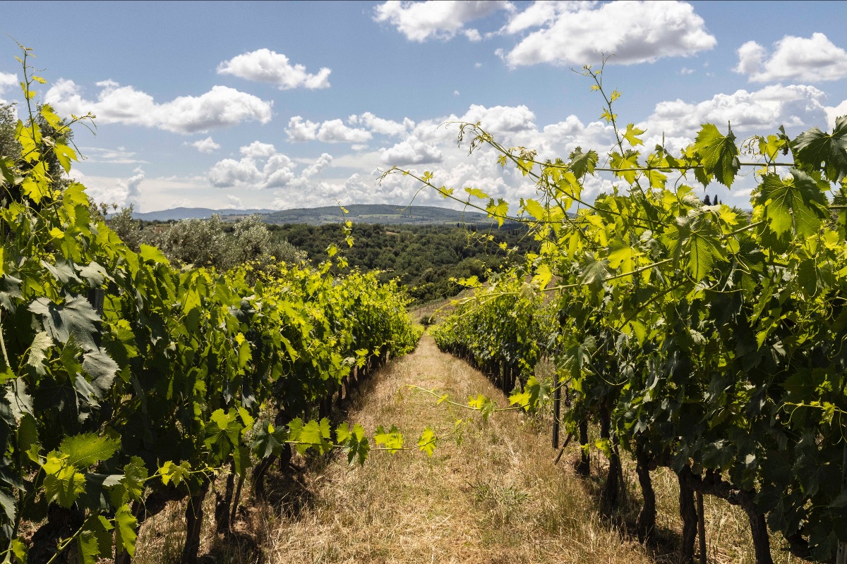 A stack of Holiday Recipes have been left behind to make room for (needless to say) more traditional and "must cook" ones, just like the calendar demands. super-tuscans.myshopify.com