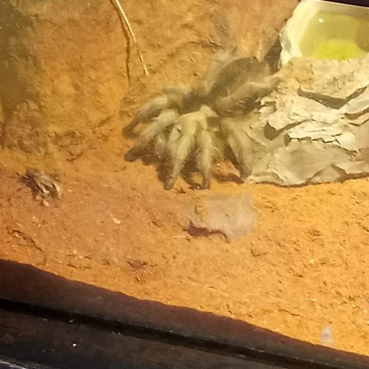 DrakeFowler18's tweet image. 