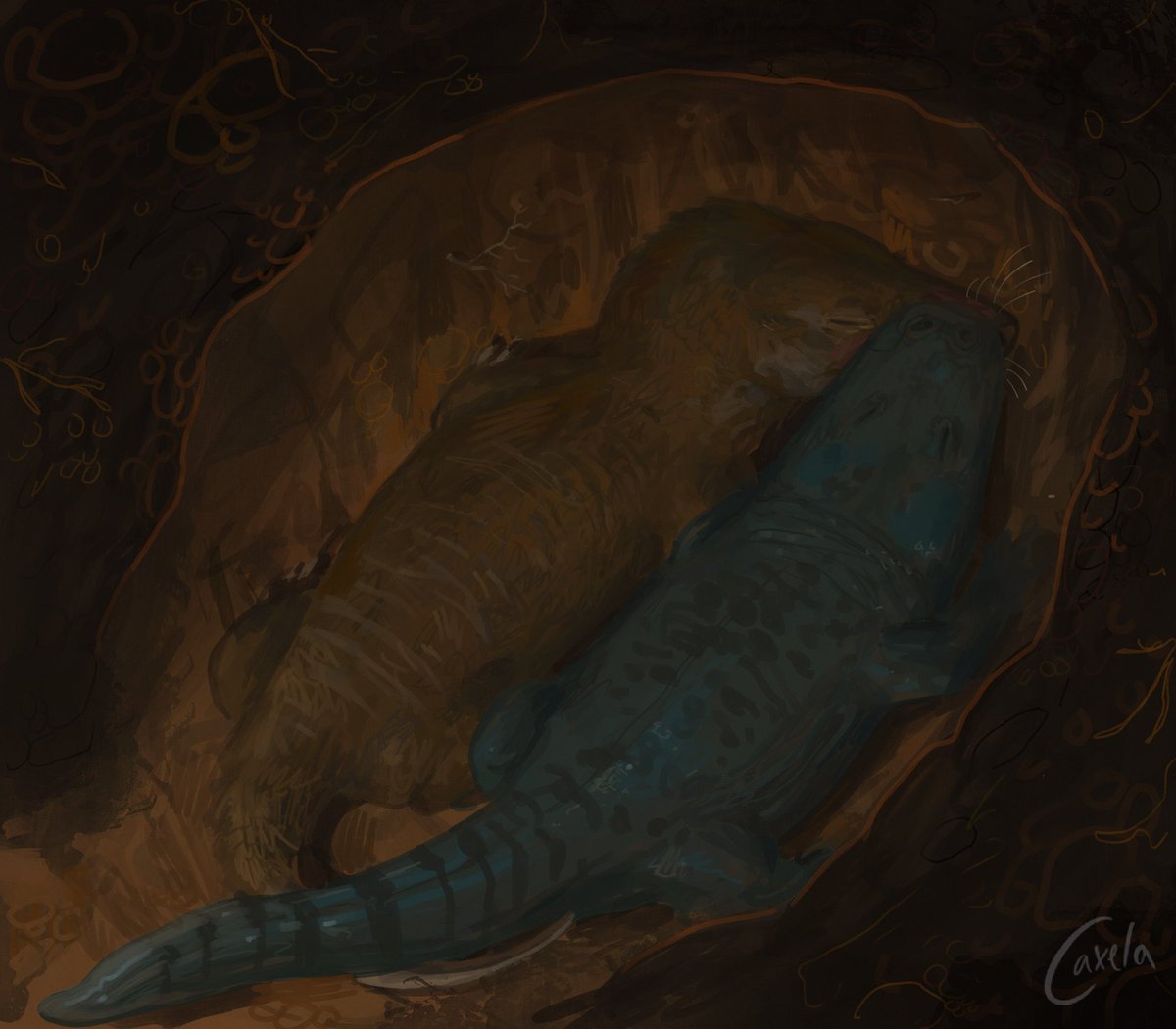 Paleontologando's tweet photo. 🦴| Hace 250 millones de años, un anfibio acuático (Broomistega) se hallaba herido y entró a una madriguera buscando refugio mientras un terápsido (Thrinaxodon) dormía.

El lugar se inundó, y en el transcurso ambos murieron juntos en una especie de abrazo.

THE TRIASSIC CUDDLE https://t.co/6pioNiGIMW