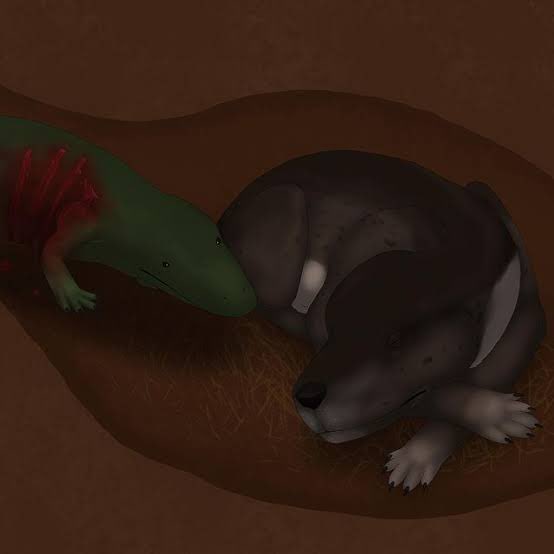 Paleontologando's tweet photo. 🦴| Hace 250 millones de años, un anfibio acuático (Broomistega) se hallaba herido y entró a una madriguera buscando refugio mientras un terápsido (Thrinaxodon) dormía.

El lugar se inundó, y en el transcurso ambos murieron juntos en una especie de abrazo.

THE TRIASSIC CUDDLE https://t.co/6pioNiGIMW