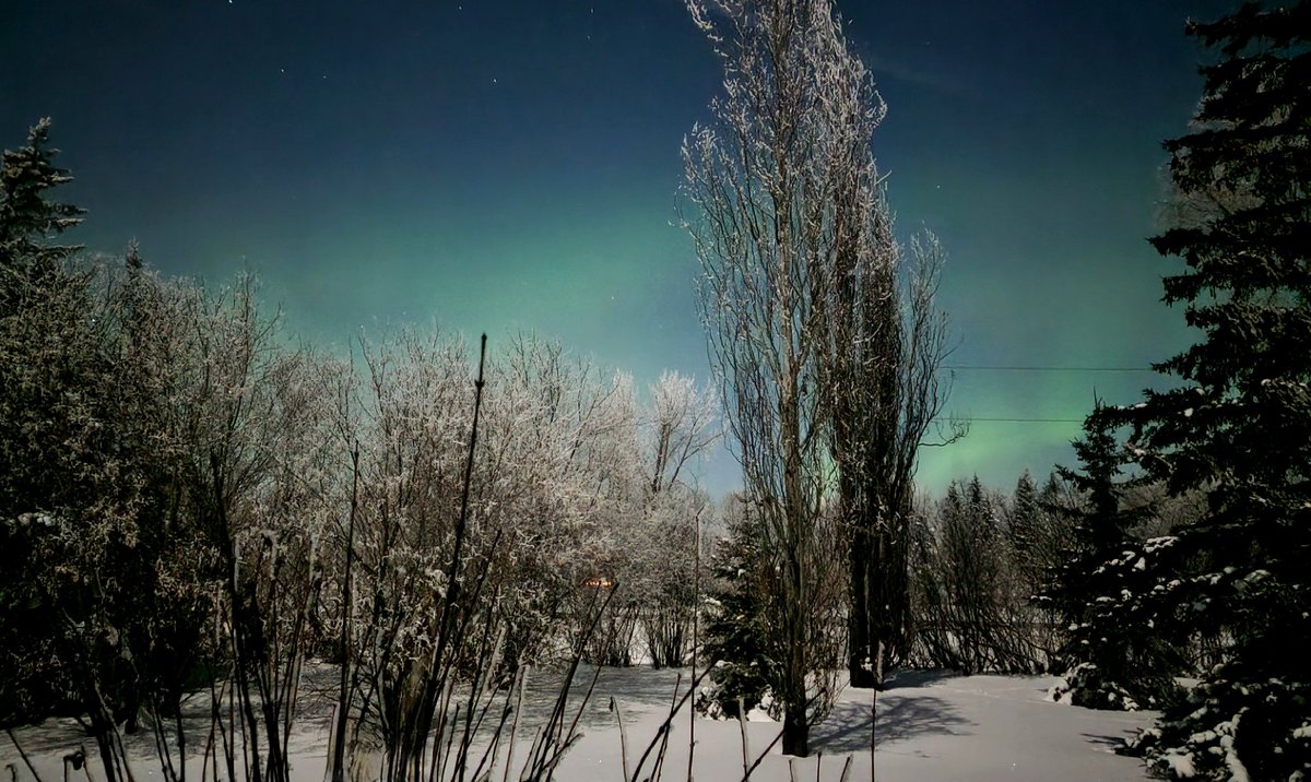 SusanKMZ's tweet photo. I photographed Northern Lights out my front window last evening. https://t.co/duWC6fDLBl