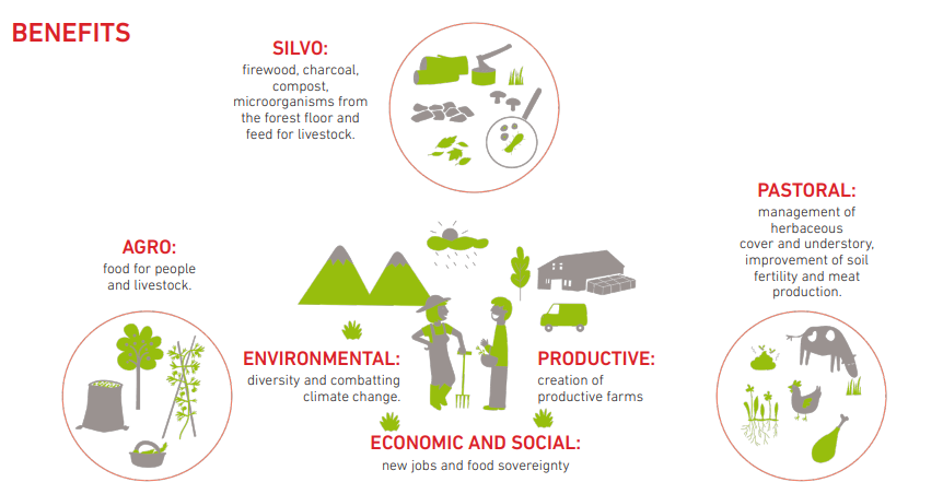 CREAF_ecologia's tweet photo. Do you know why Regenerative #Agriculture is a revolutionary #farming alternative? Look at the main benefits at this #infographic ✨ And to know more about it and our @LIFEprogramme @polyfarming 👉 https://t.co/83vtMjtSyW https://t.co/mwYVJK3W14