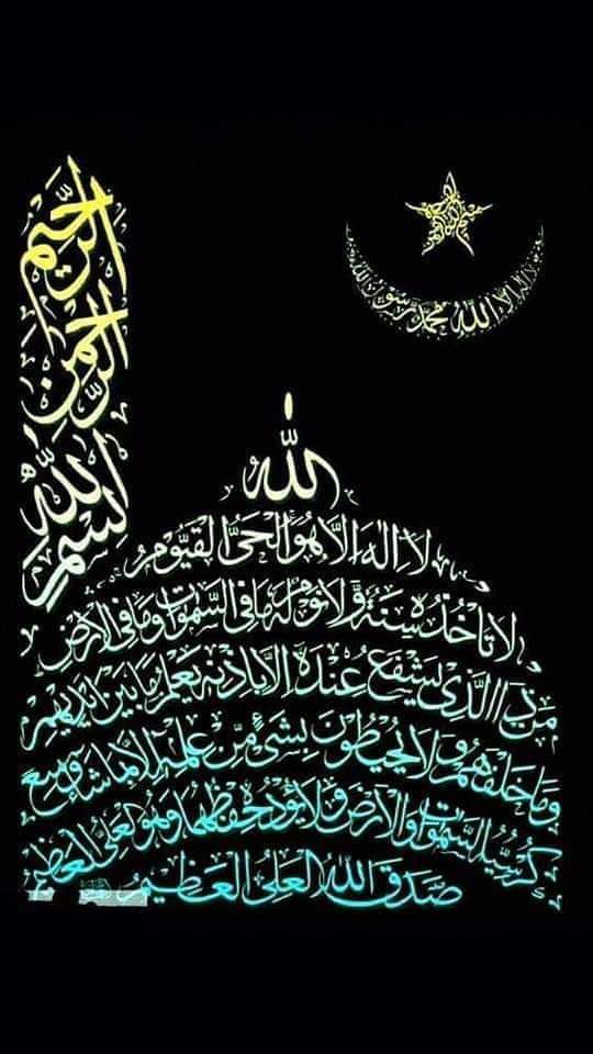 TARIQ MASOOD BUTT🇵🇰 tweet media