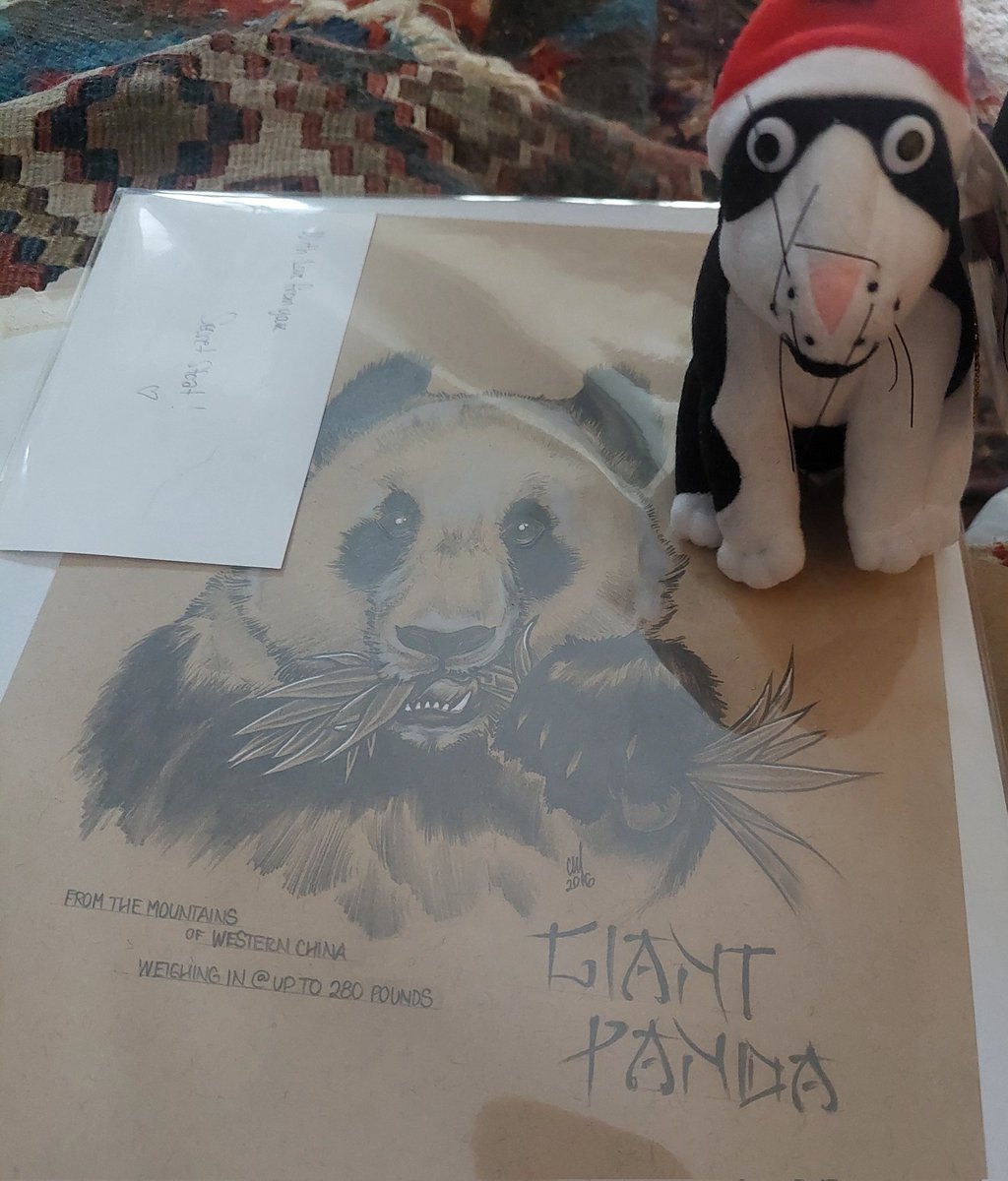 sm9eb's tweet photo. I, too,have now opened my #SecretStoat gift!! OMG IT'S #WORSTBEAR, iconic symbol of my native DC and really the very #BeatBear!! I love it!! 
And I also got a Milton ornament from my ex-Philly roommate, from the @ChronicleBooks book of the same name, the best book ever written! https://t.co/mB3dGVZg69