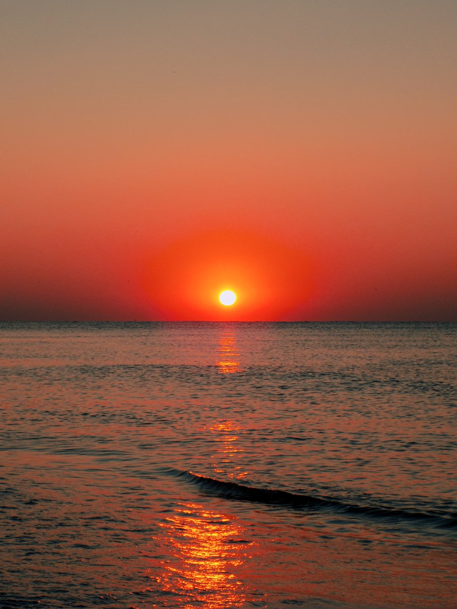 Irmagine's tweet image. Beautiful evening and rejuvenating night of having sweet thoughts and insightful dreams 🌆🌹✨
💖
#RoseTinted #sunset