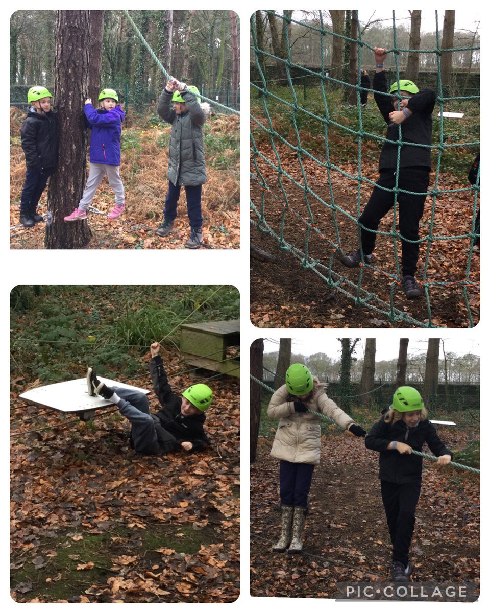 Bollinbrook CE Primary School tweet media